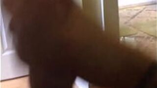 Sexy man jacking off for boyfriend porn video